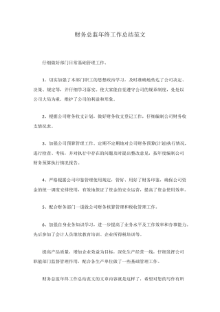 财务总监年终工作总结范文