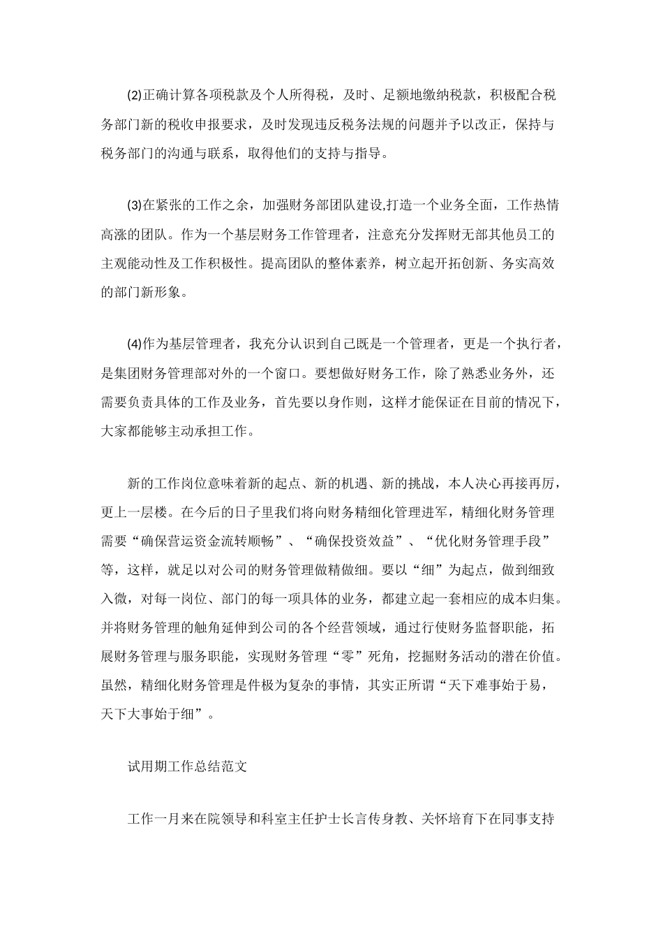 财务试用期工作总结模板3篇_第3页