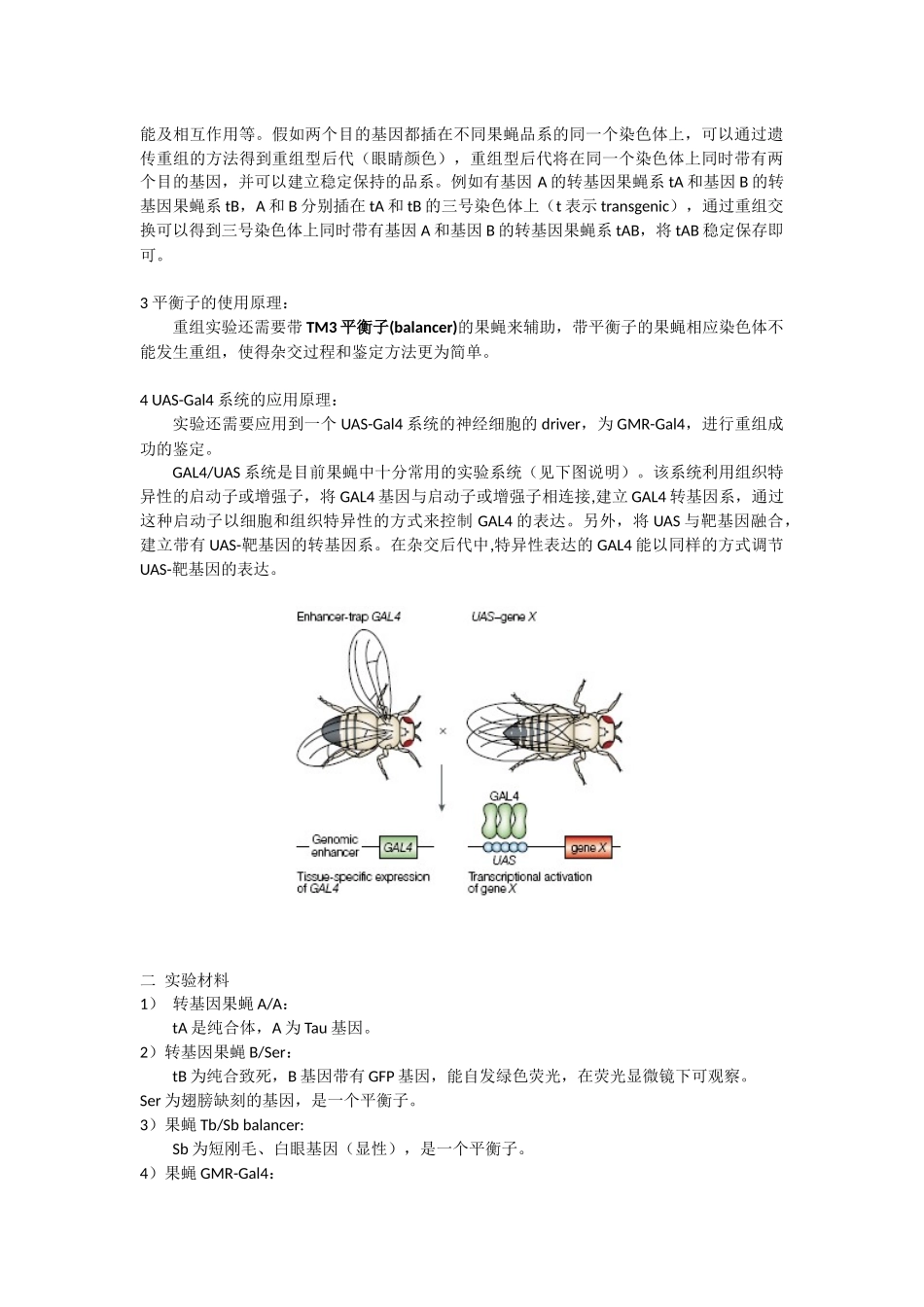 转基因果蝇实验—崔丽嘉_第2页