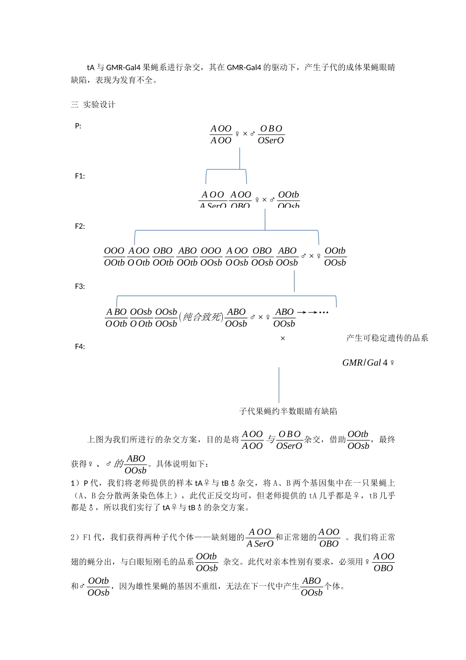 转基因果蝇实验—崔丽嘉_第3页