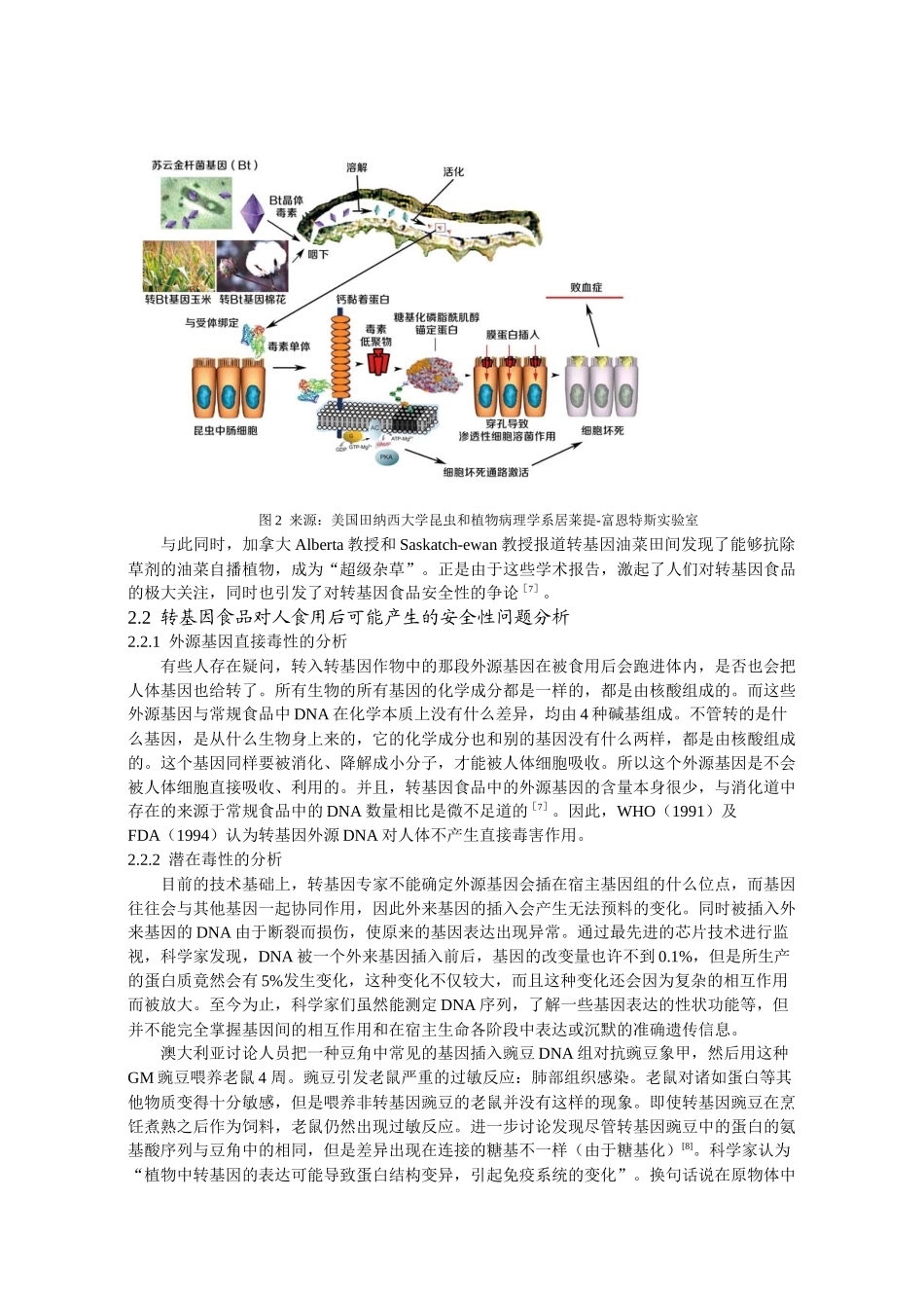 转基因食物是否应该被推广_第3页