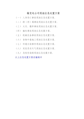 输变电公司现场应急处置方案