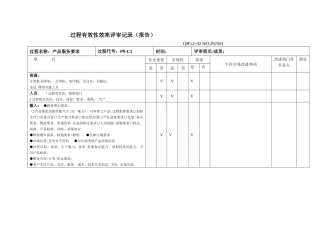过程有效性效率评审记录