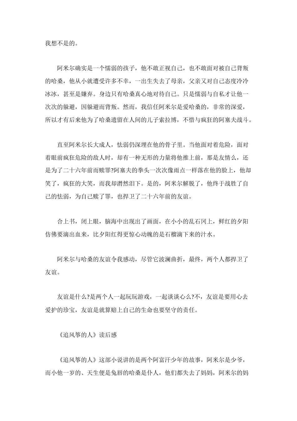 追风筝的人读后感800字_第2页