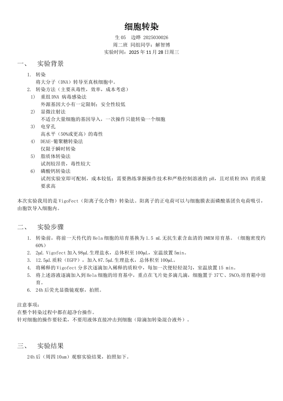 选做细胞转染边晔_第1页