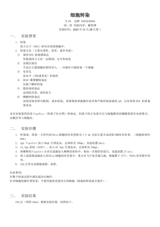 选做细胞转染边晔