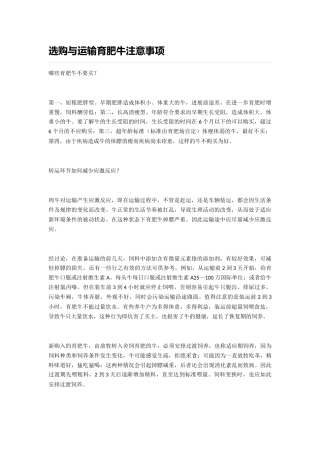 选购与运输育肥牛注意事项