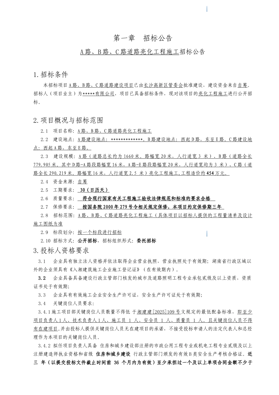 道路亮化施工工程招标文件_第3页