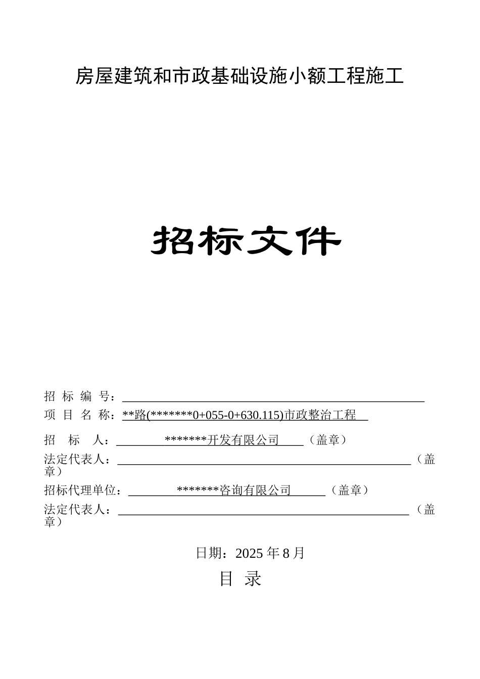 道路市政整治工程施工招标文件_第1页