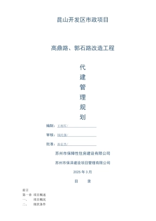 道路改造工程代建管理规划90页