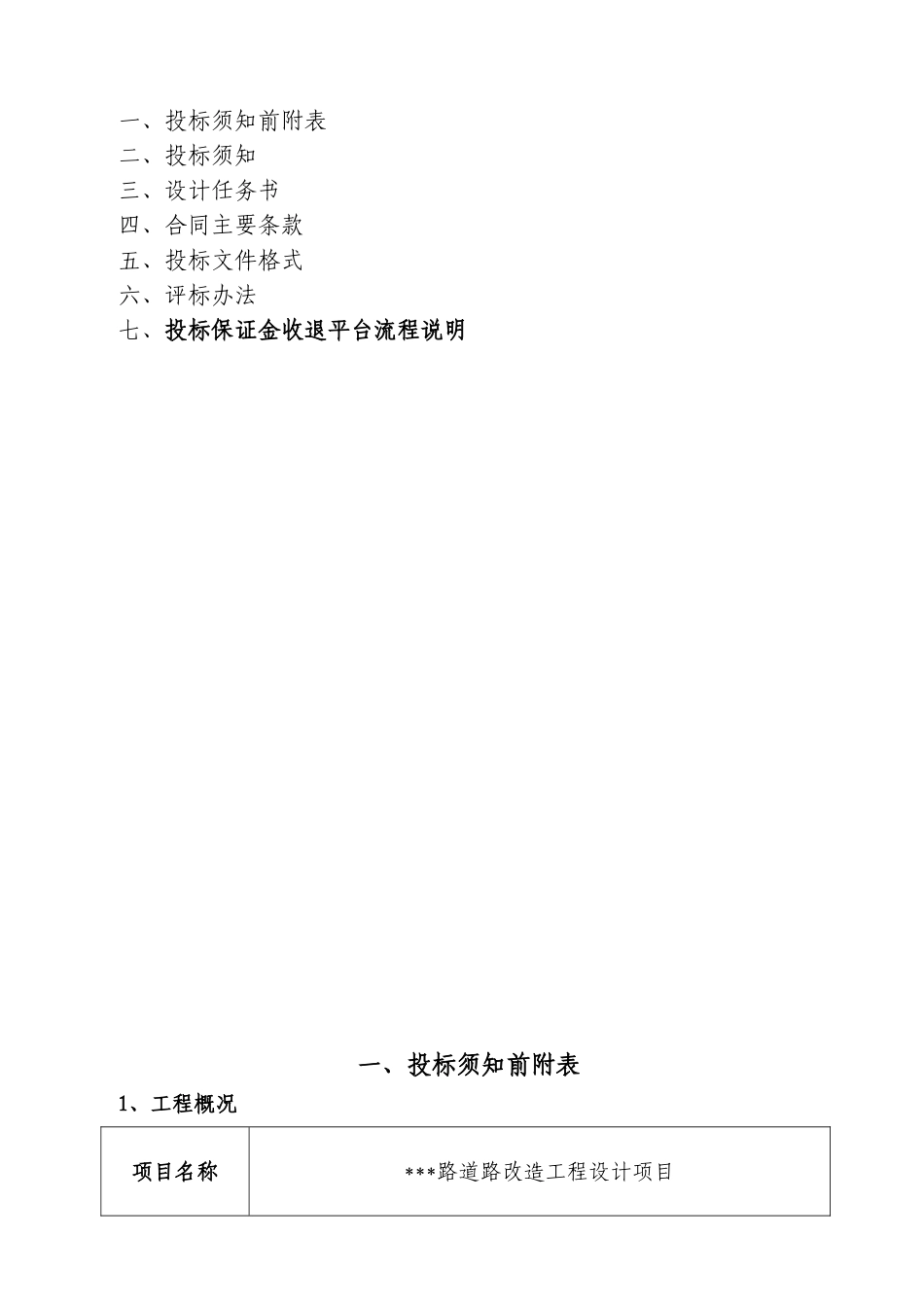 道路改造工程设计招标文件_第2页