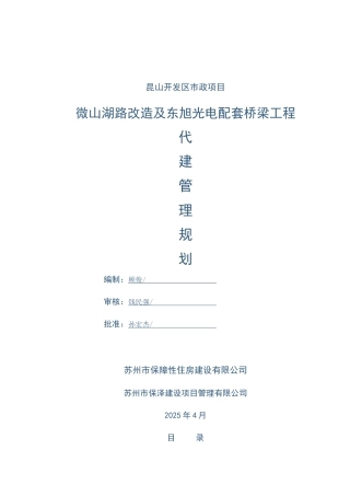 道路桥梁配套工程代建管理规划93页