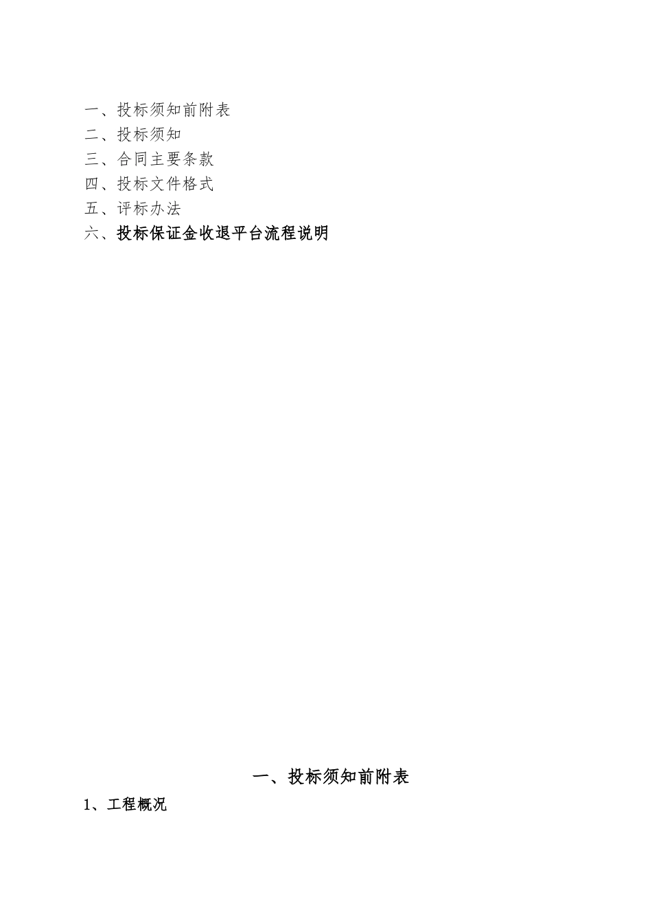 道路维修工程设计招标文件_第2页