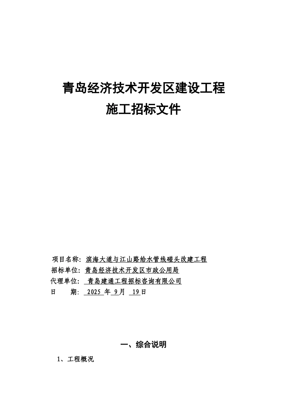 道路给水管线碰头改建工程招标文件_第1页