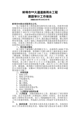 道路雨水工程跟踪审计工程报告