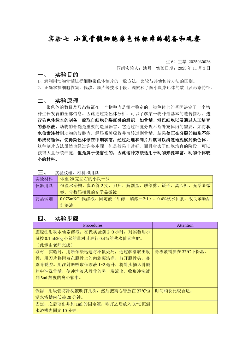 遗传实验报告骨髓_第1页
