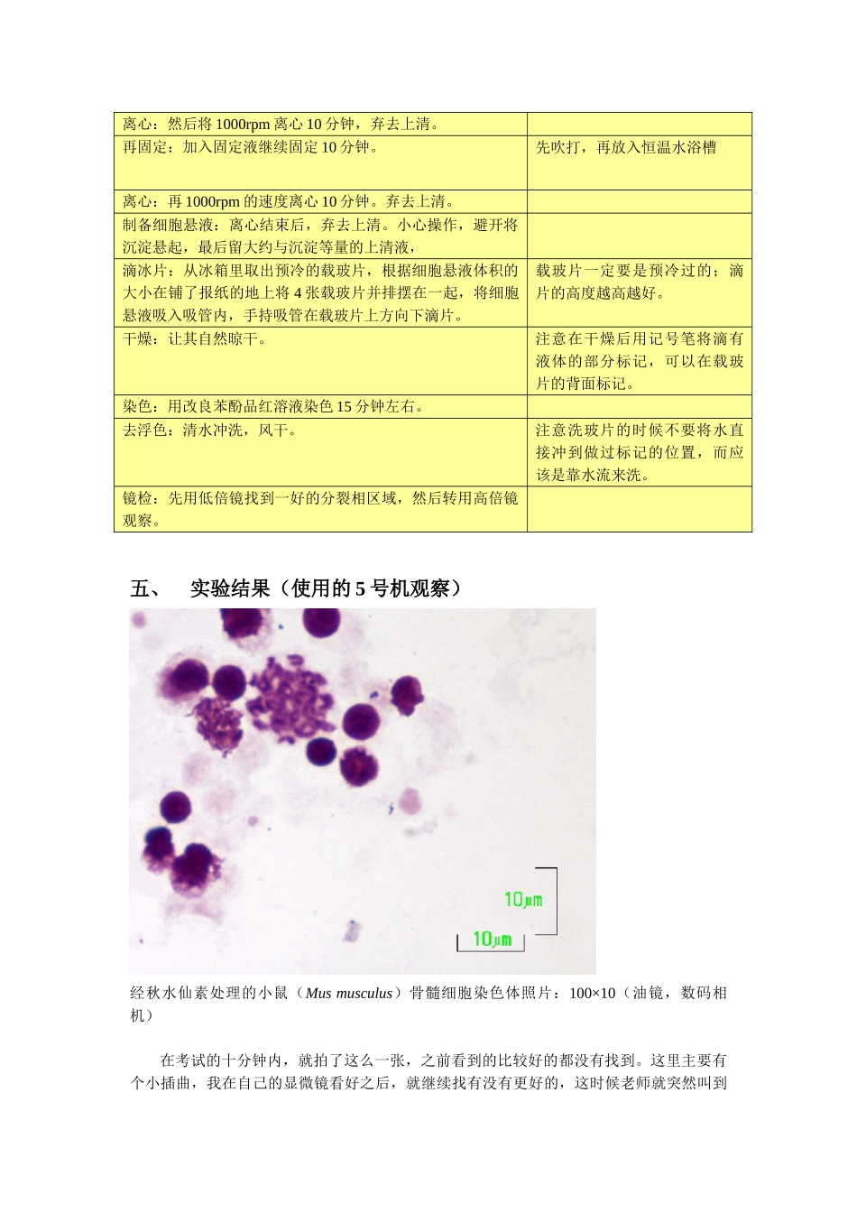 遗传实验报告骨髓_第2页