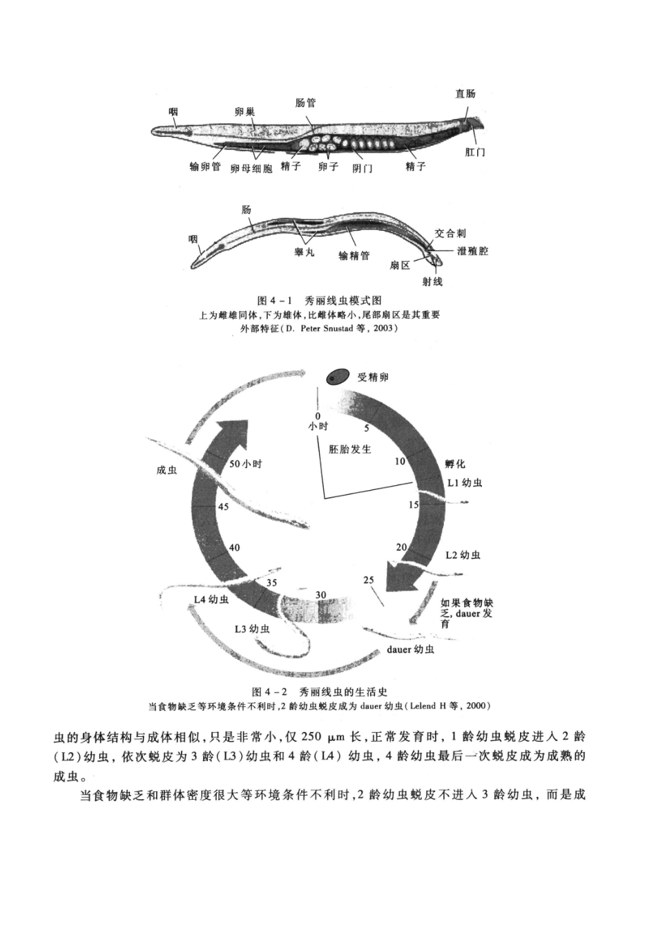 遗传学分析实验教程-秀丽线虫的遗传学分析_第2页