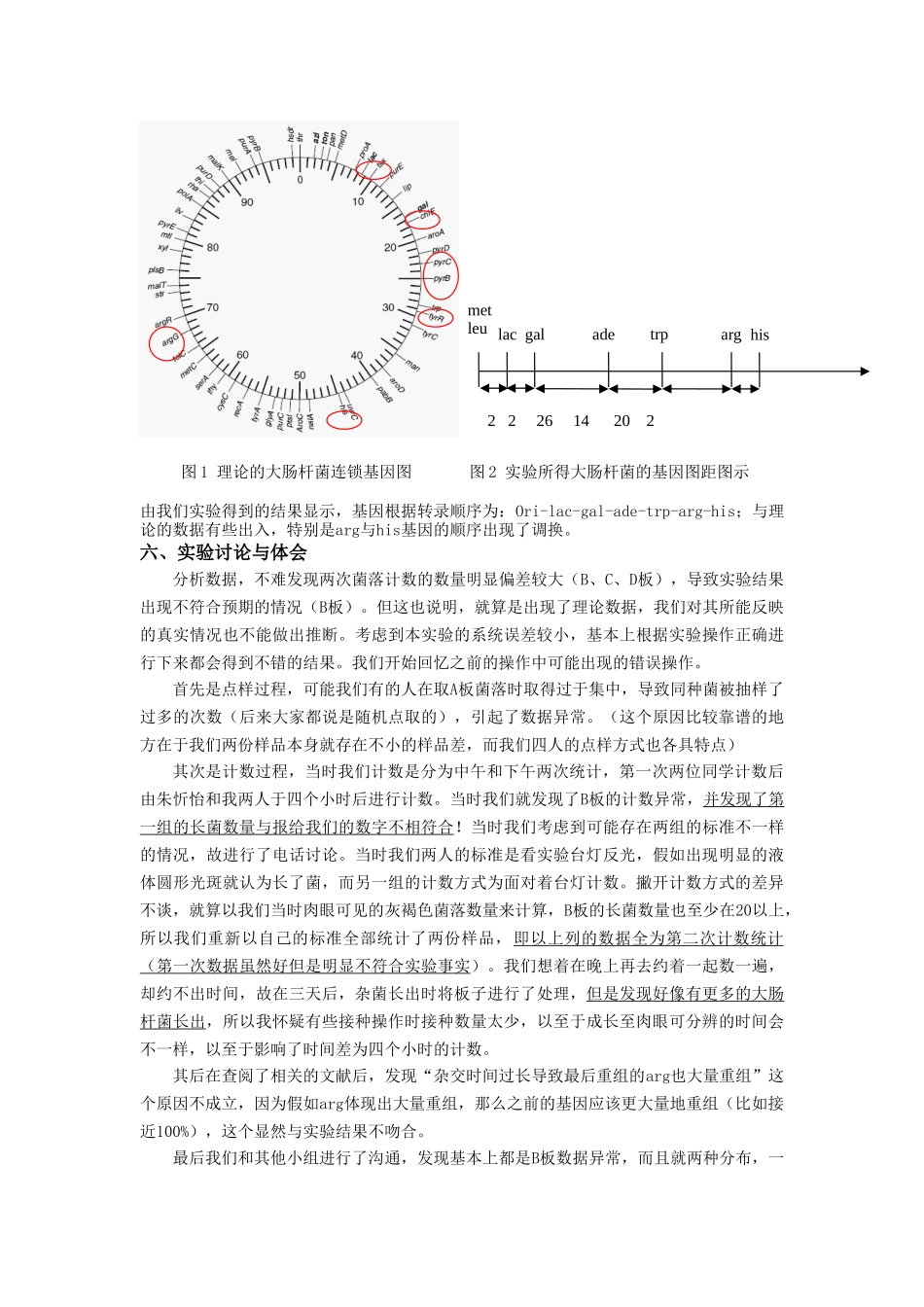 遗传学实验6大肠杆菌非中断杂交_第3页