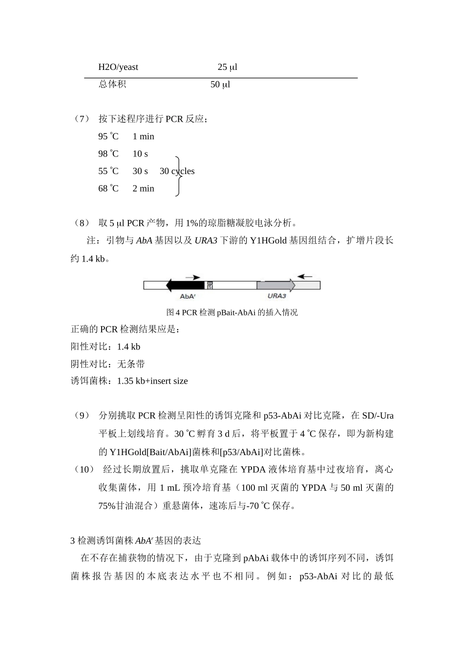 酵母单杂交实验步骤总结1_第3页