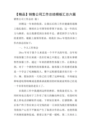 销售公司工作总结模板汇总六篇