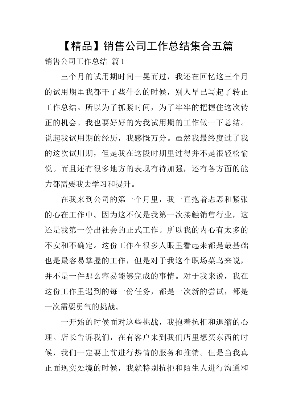 销售公司工作总结集合五篇_第1页