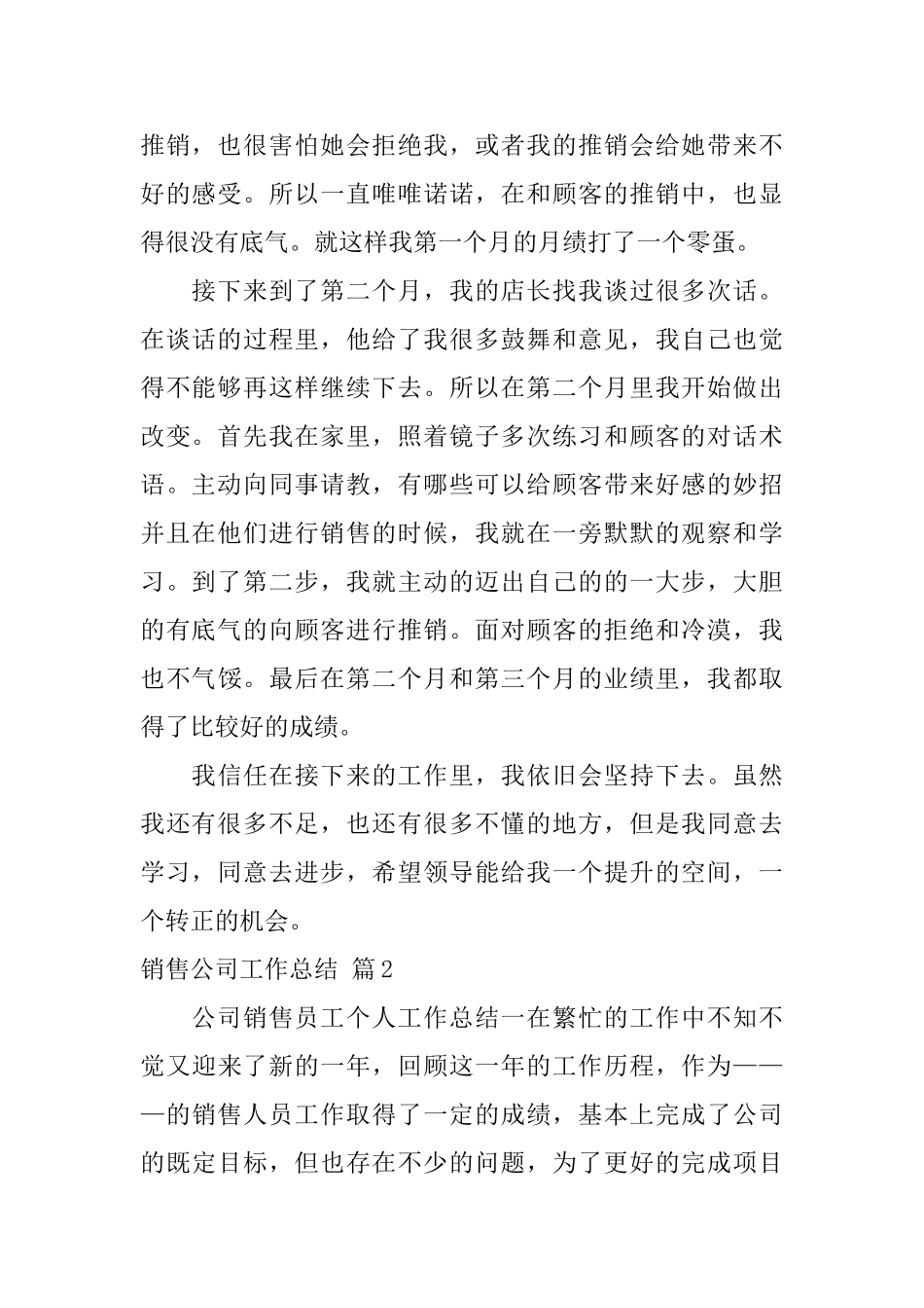 销售公司工作总结集合五篇_第2页