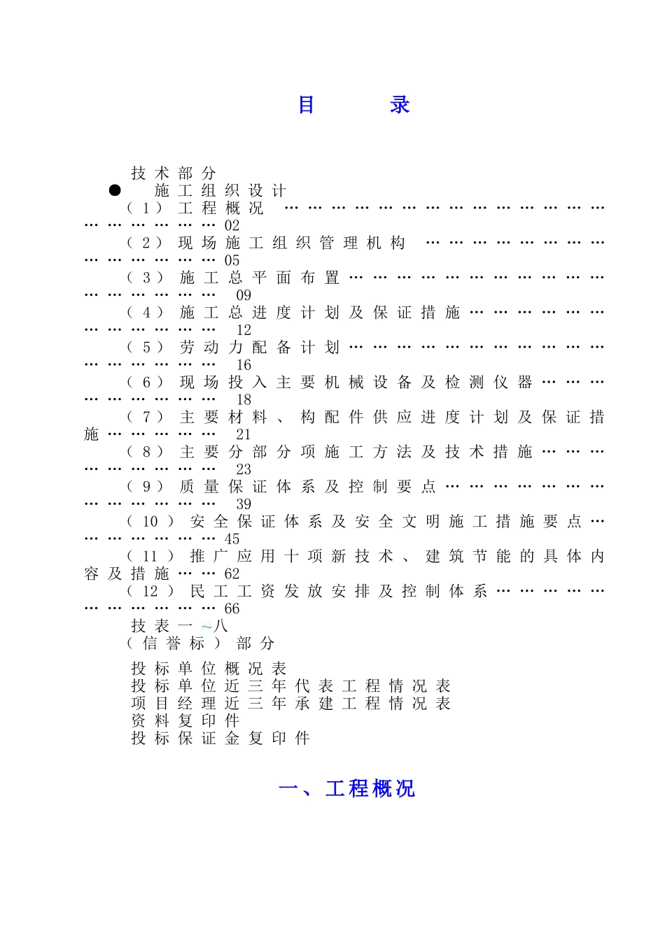 镇饮水安全项目技术标_第1页