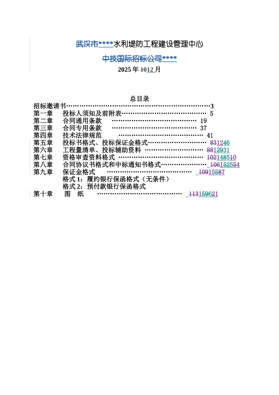 长江干堤加固项目招标文件_第2页