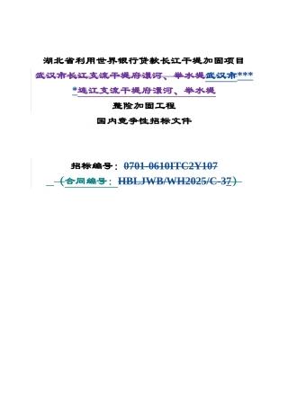 长江干堤加固项目招标文件
