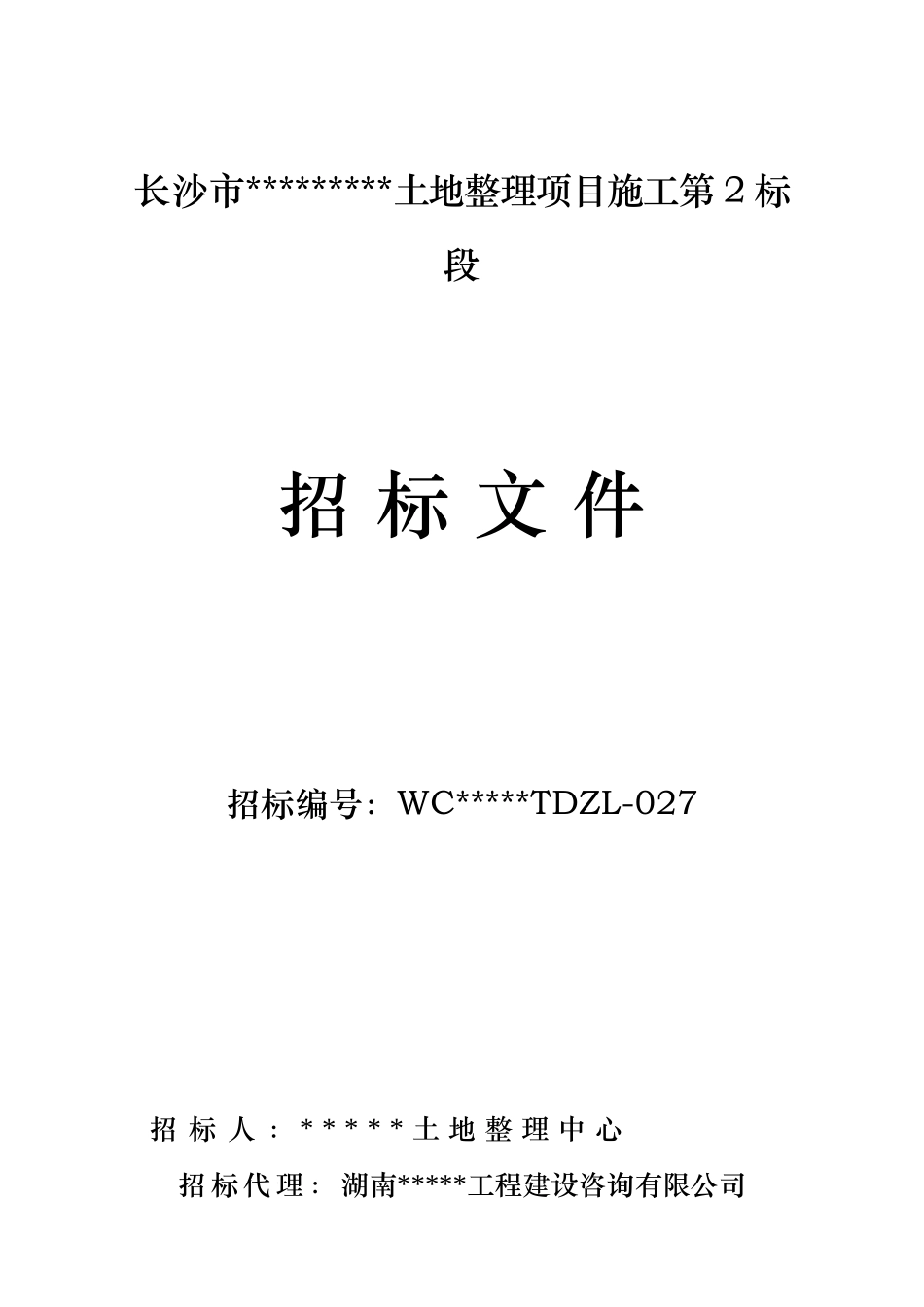 长沙市某土地整理项目招标文件_第1页