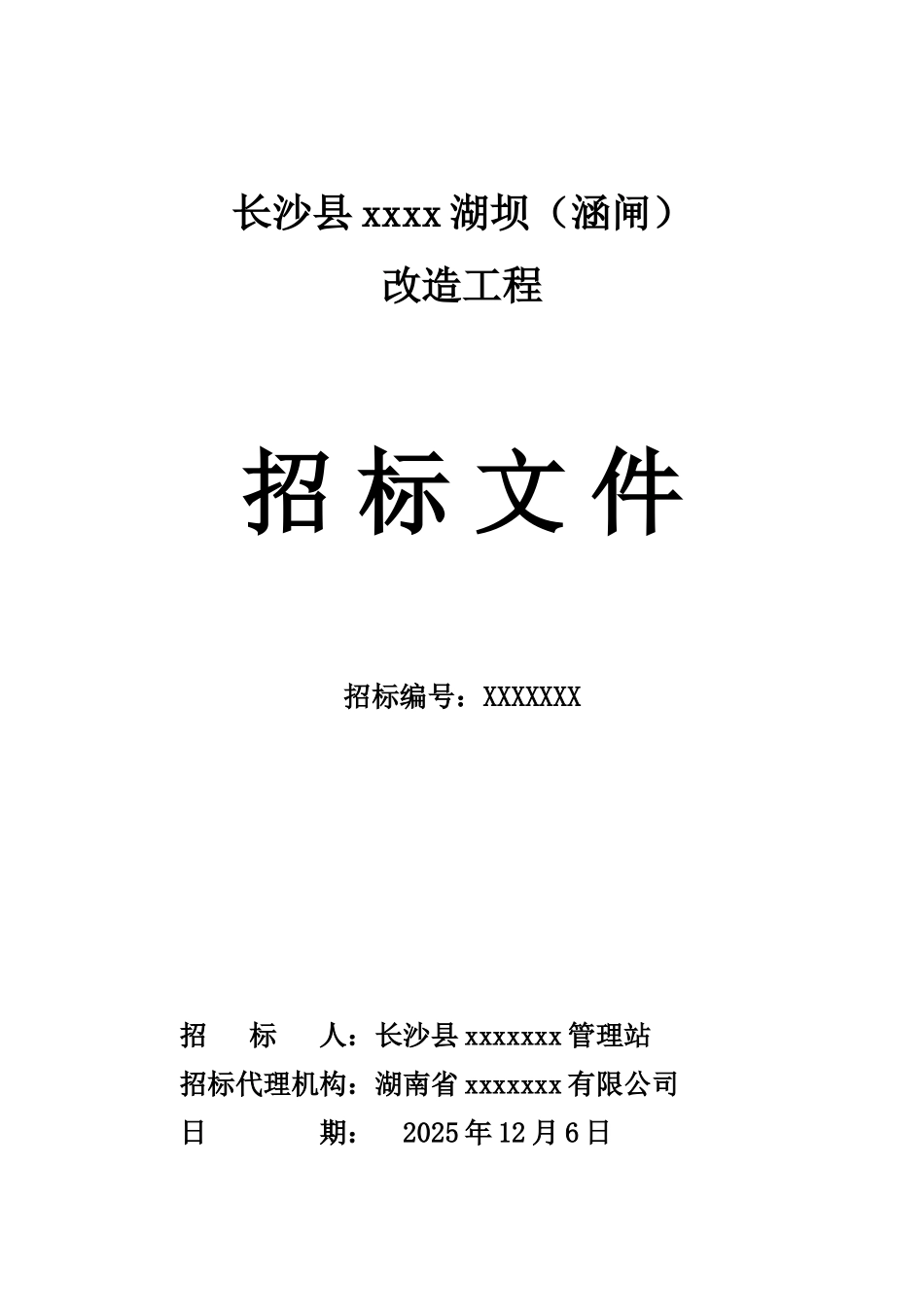 长沙某堤坝改造工程招标文件_第1页