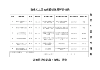 隐患治理效果评价记录表