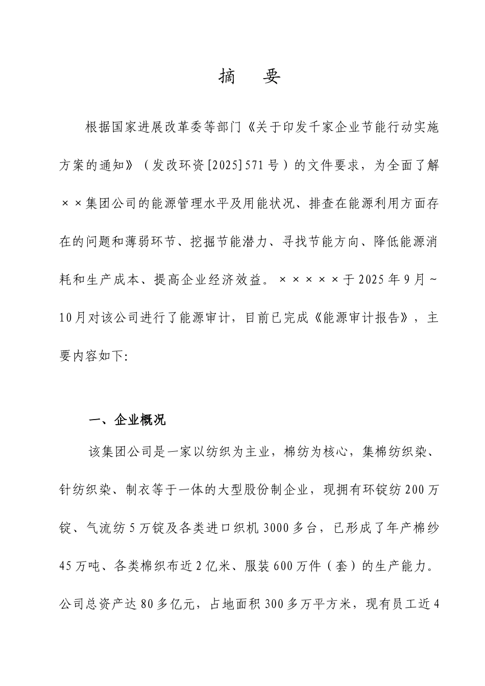 集团公司能源审计报告_第2页