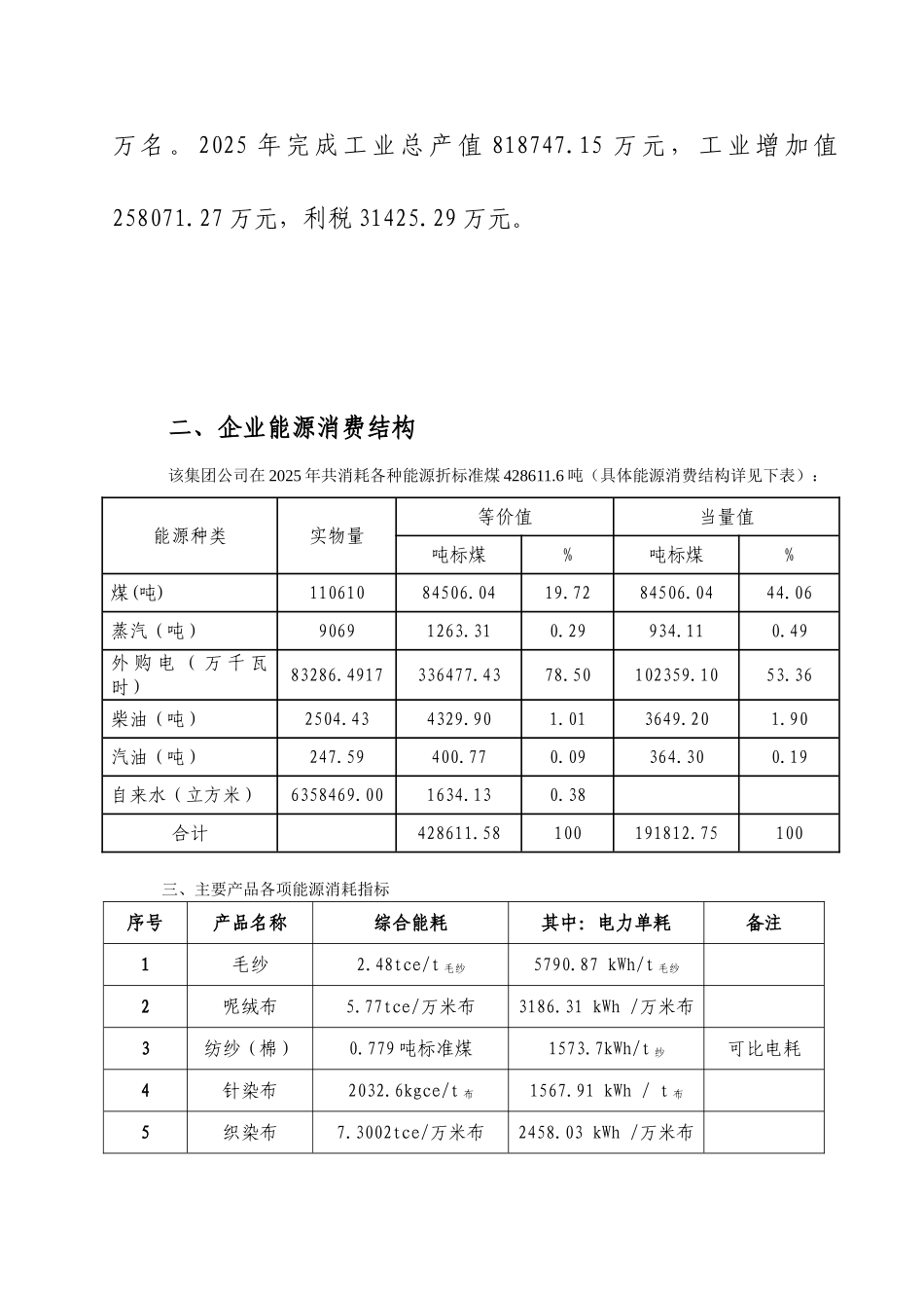 集团公司能源审计报告_第3页