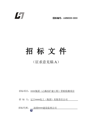 集团管桩检测项目招标文件