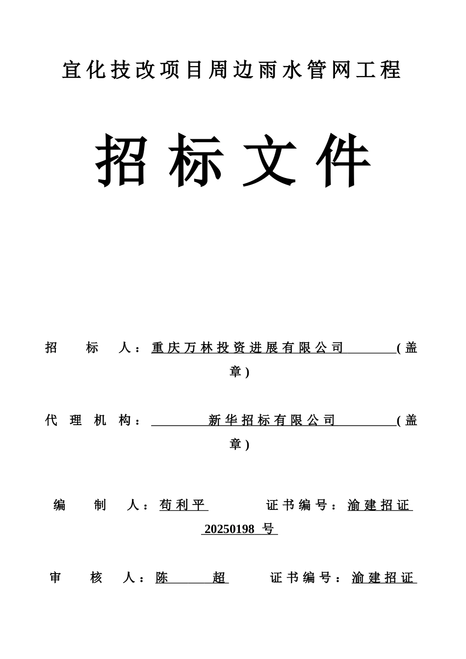 雨水管网工程招标文件_第1页