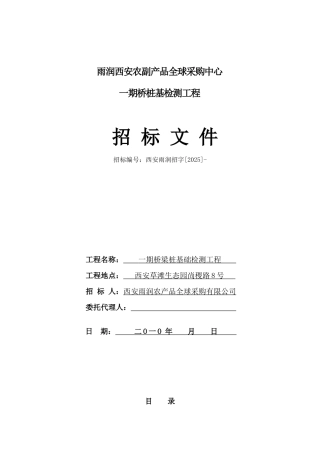 雨润一期桥梁桩基检测招标文件