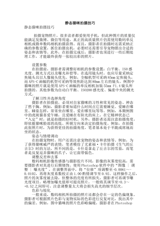 静态猫咪拍摄技巧