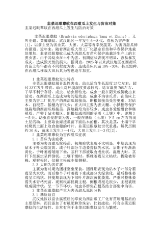韭菜迟眼蕈蚊在西甜瓜上发生与防治对策