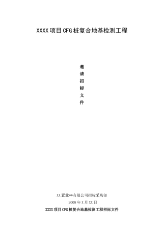 项目cfg桩复合地基检测工程邀请招标文件