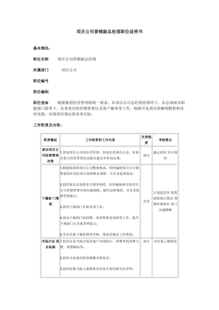 项目公司营销副总经理职位说明书