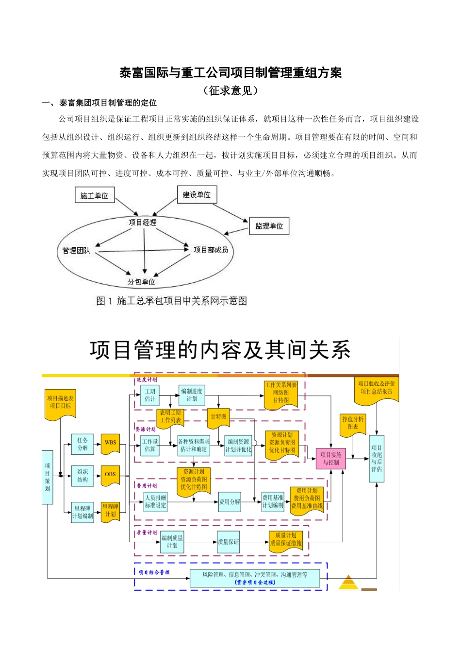 项目制组织机构调整方案_第1页