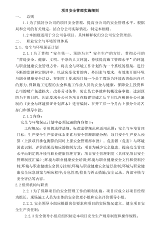 项目安全管理实施细则