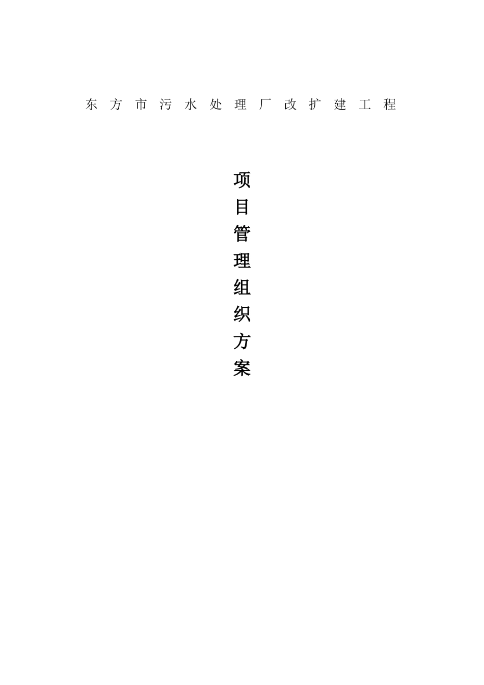 项目管理组织方案_第1页