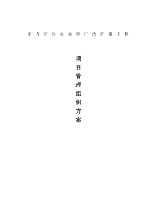 项目管理组织方案