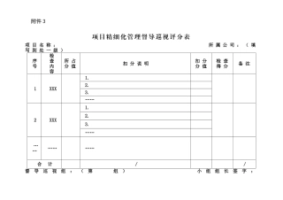 项目精细化管理督导巡视评分标准