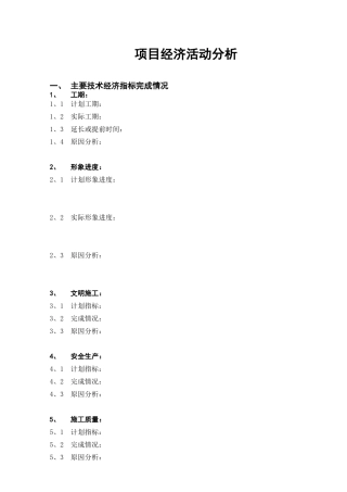 项目经济活动分析