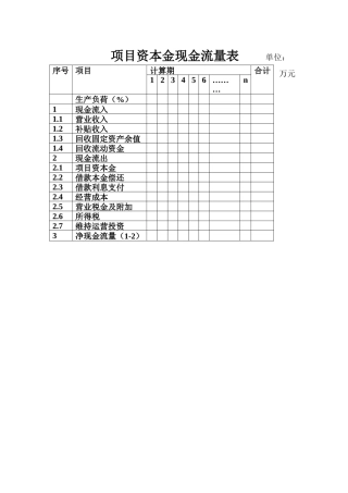 项目资本金现金流量表