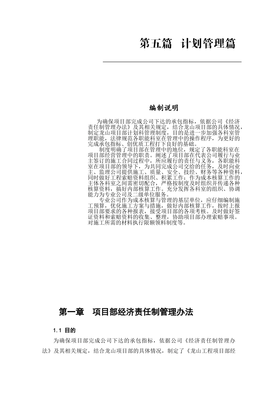 项目部经济责任制管理办法_第1页